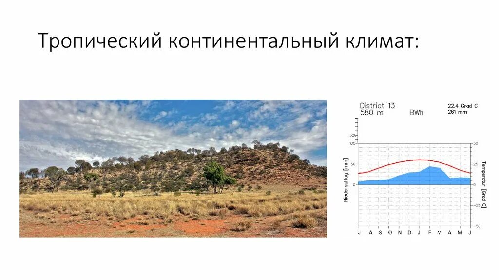 Тропический континентальный Тип климат. Климатограмма тропического климата Австралии. Климат тропического пояса Австралии. Материковый тропический климат.