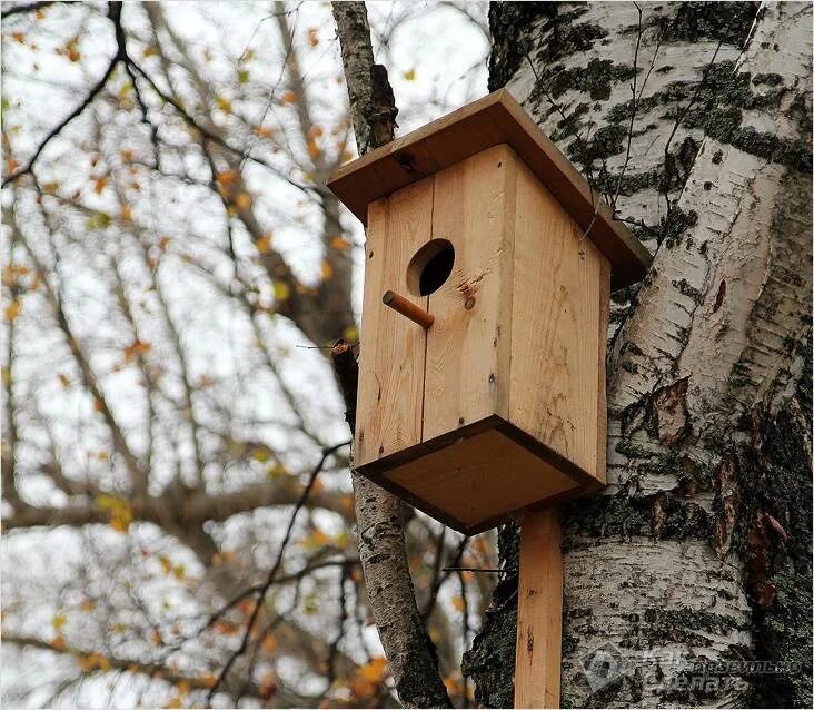 Скворечник для птиц. Скворечник для скворцов. Скворечник 1. Скворечник-бельчатник "бекас". Скворечник "синичник".