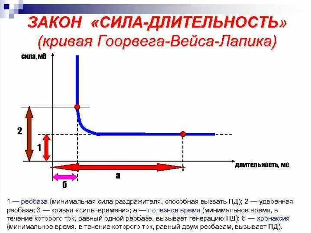 Закон силы-длительности физиология. Закон сила Длительность физиология график. Кривой Гоорвега—Вейса—Лапика. Кривая Гоорвега-Вейса-Лапика физиология. Максимальная величина раздражителя