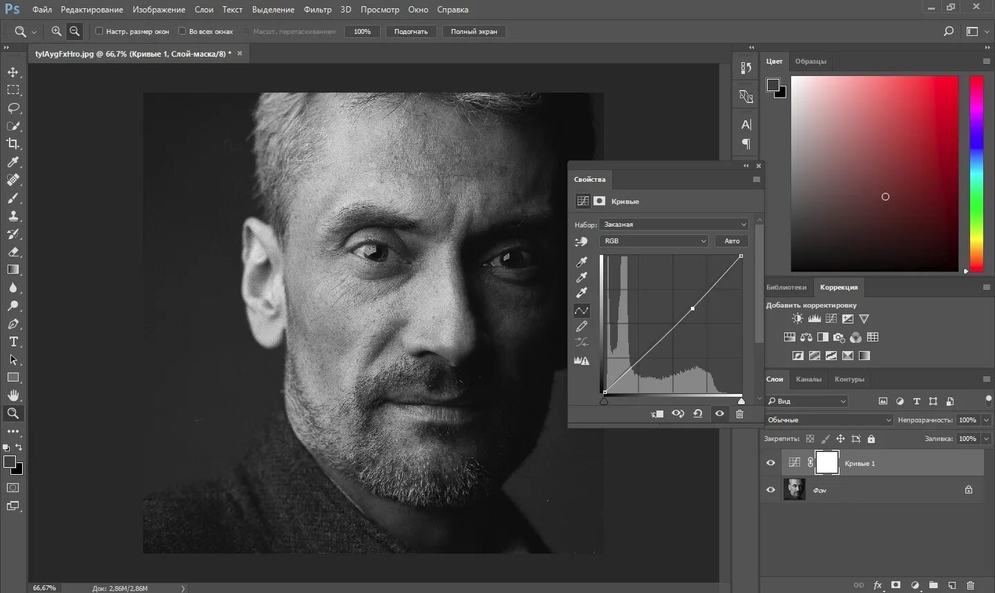 Растровый цифровой редактор. Основы Adobe Photoshop. Растровый редактор Adobe Photoshop. Программа Adobe Photoshop. Фотошоп возможности программы.