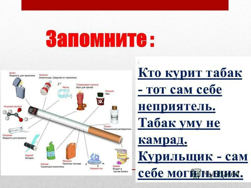 Проект 9 класс на тему вредные привычки. Кто курит табак тот сам себе враг. Кто курит тот.