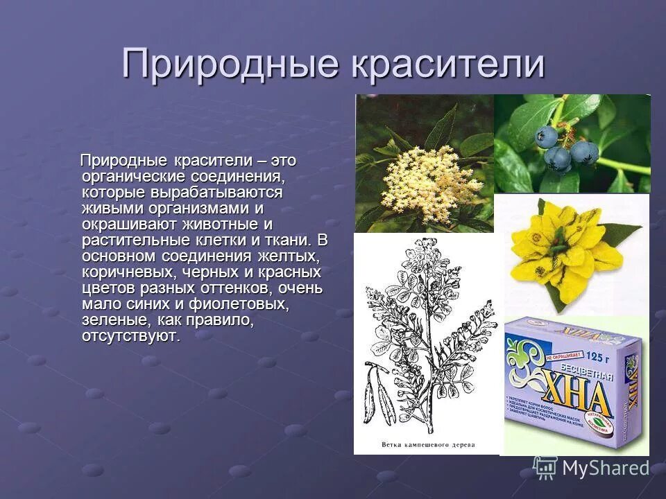Красители пищевые натуральные. Ализарин краситель. Пищевые красители доклад. Натуральные природные красители. Природные красители.