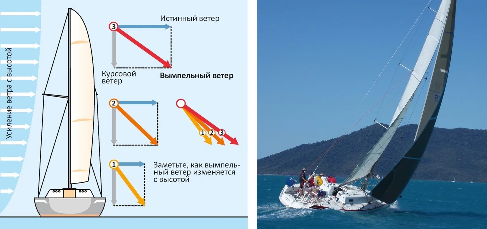 О чем говорится в парусе. Вымпельный и истинный ветер. Принцип движения парусника. Галсы парусного судна. Ветер в парусном спорте.