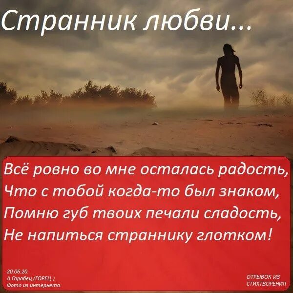 Мои любимой странник. Мои любимой странник