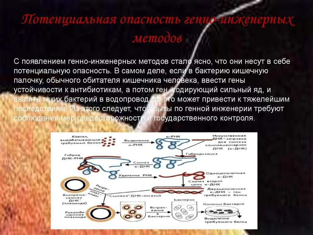 Экспериментатор используя методы генной инженерии. Опасности генной инженерии. потенциальная опасность генно-инженерных методов. опасности горной инженерии. опасности генной инженерии кратко.