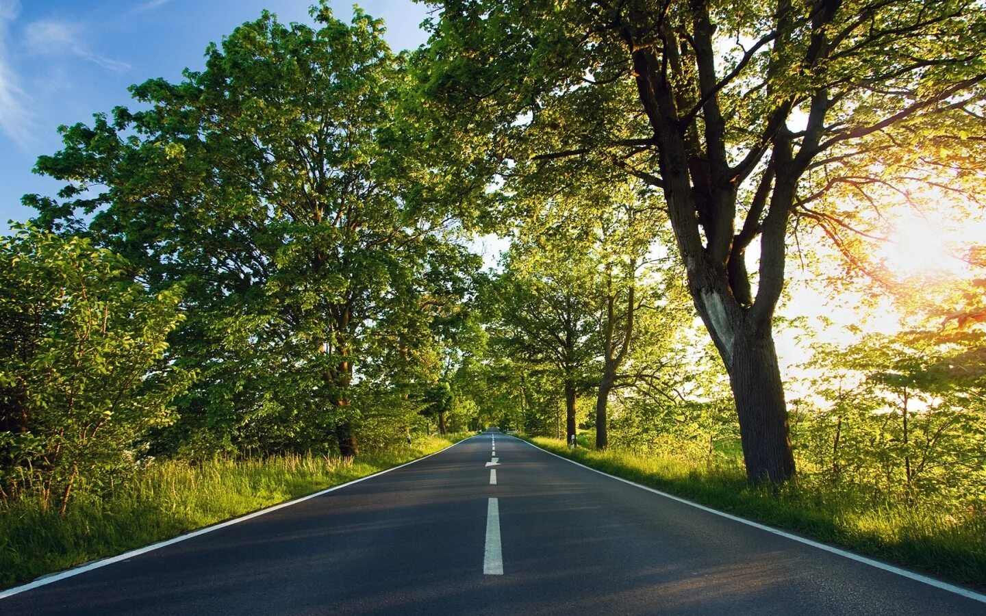 Rising road. Природа дорога. Лето дорога. Дорога с деревьями. Солнце на дороге.