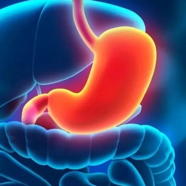 Ухудшение пищеварения. Болит живот. Изжога картинки. Изжога картинки для презентации. Изжога кишка.