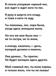 Мой пес стих