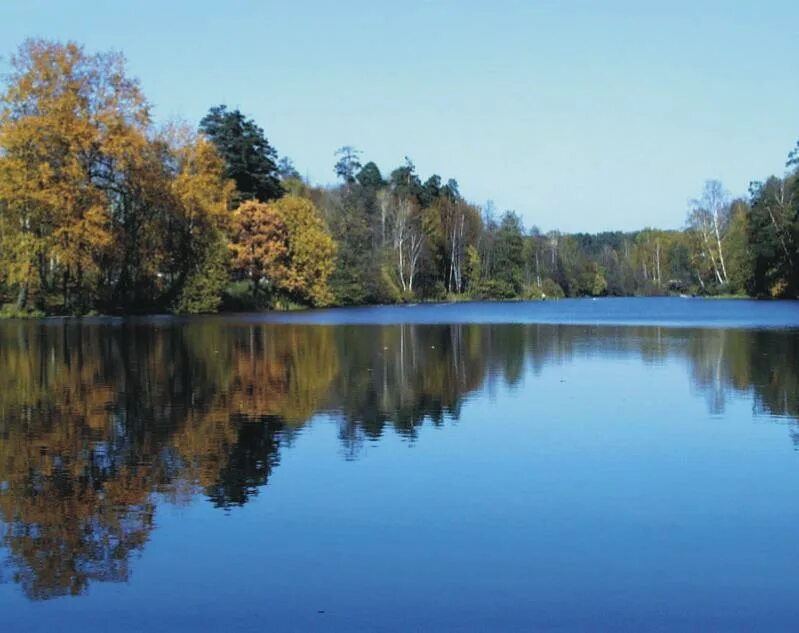 Красота воды родного края 2 класс рассказ. Красота воды родного края. Красота воды родного края 2. Красота воды в Москве. Красота водного мира родного края.