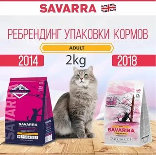 Кошка 2 кг