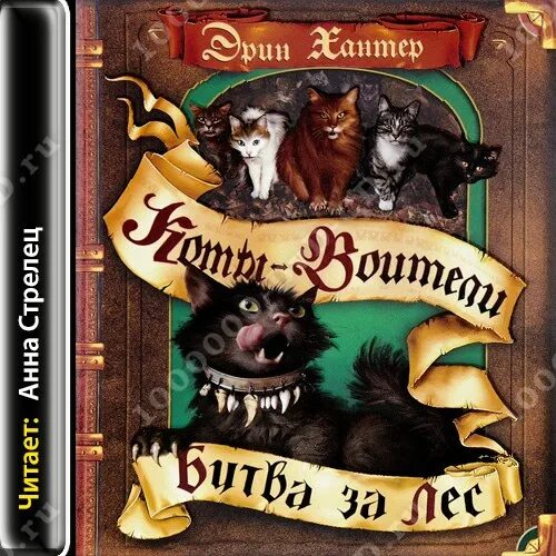 Книгу коты воители битва за лес. Коты воители книга битва за лес. Книгу коты воители битва за лес. Коты-воители. Эрин хантер коты воители битва за лес.