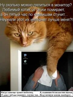 Отпускаю тухнет