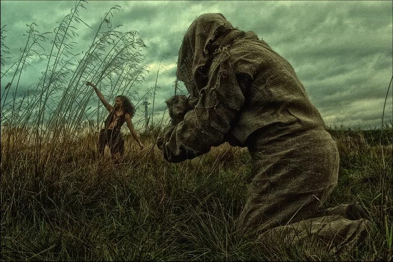 Мор травы. Мор травы. Бурая твирь трава. Мор травы. Мор утопия травяные невесты.