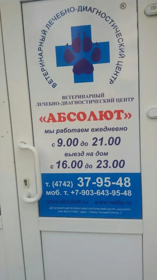 Абсолют центр. Ветеринарный лазарет краснодар. Ветеринарный лазарет краснодар. Абсолют центр. Ветеринарка на соколе липецк.