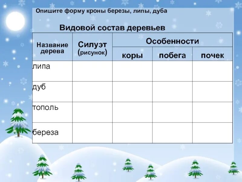 Видовой состав лесов в россии. Состояние деревьев и кустарников. Видовой состав деревьев. Видовой состав деревьев. Классификация деревьев по возрасту.