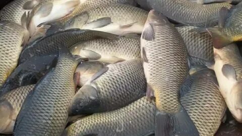 Әзірбайжан анальді секс әдеті