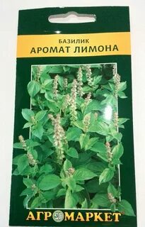 Базилик лимонный
