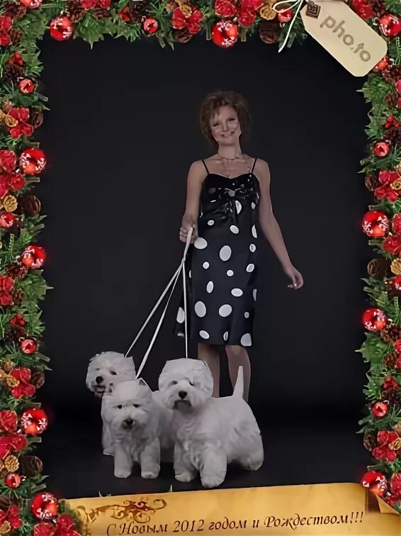 питомник растений в михайловском районе рязанской области мечта. питомник мечта. питомник растений мечта село большое свистово. питомник мечта. гарден маркет питомник.