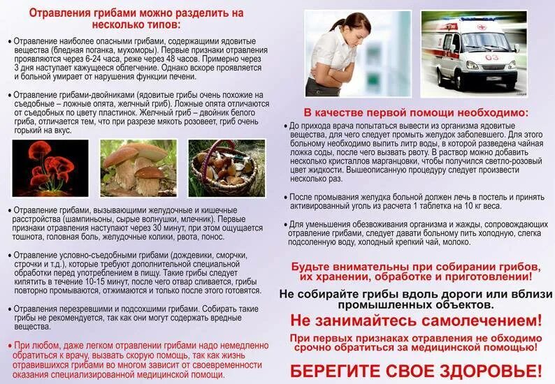 Признаки отравления грибами через сколько. Профилактика отравления грибами. профилактика отравления ядовитыми грибами. профилактика при отравлении ядовитыми грибами. профилактика отравлений грибами и ягодами.