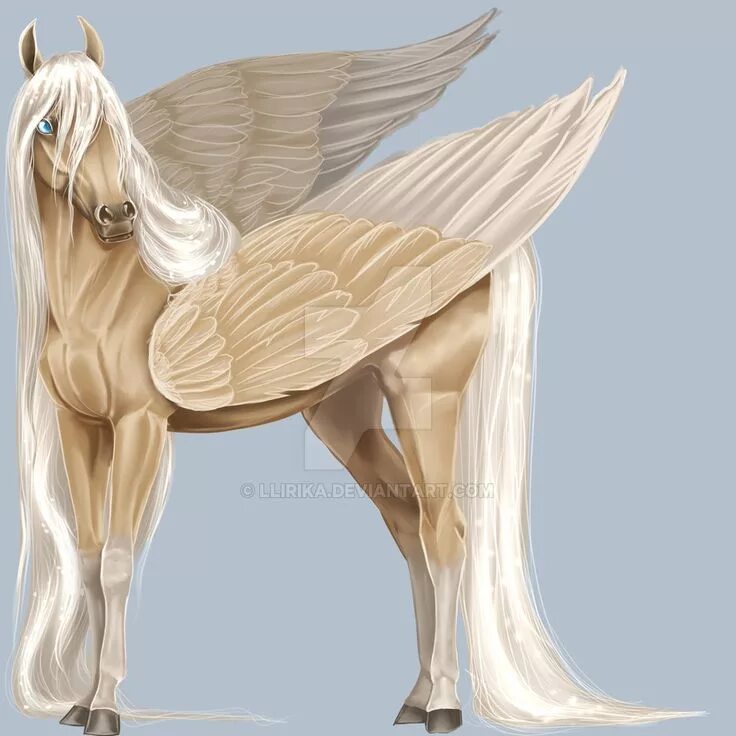 Пегас без крыльев. Конь с крыльями. Лошадка с крыльями. Пегас со сложенными крыльями. Пегас лошадь.