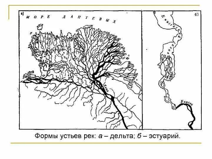 Устье и дельта. Устье Дельта и эстуарий. Дельта и эстуарий схема. Дельта и эстуарий реки. Дельта реки схема.