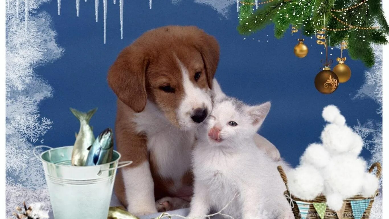 Кошка и собака зимой. Новогодние котята и щенки. Котенок и щенок новый год. Доброе зимнее утро с собачками