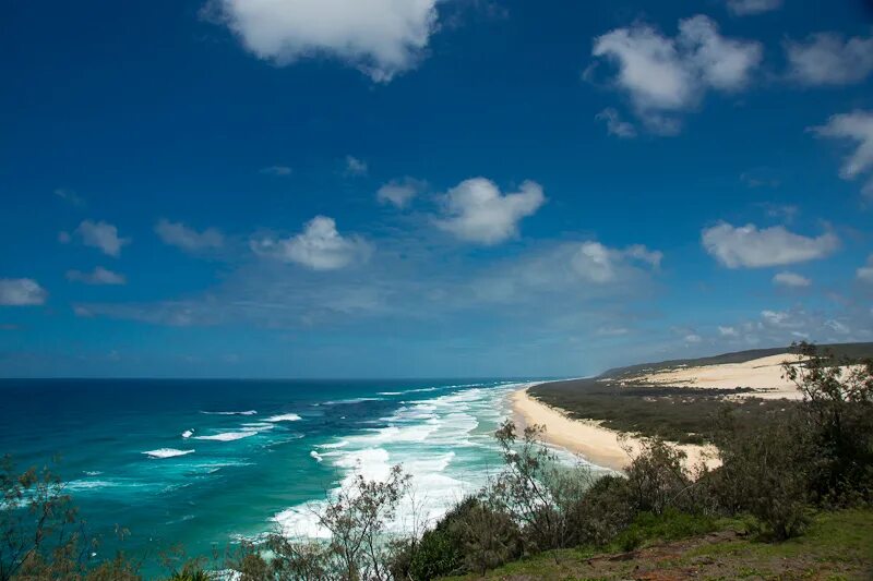 австралия в январе фото. лето в январе в австралии. Harbour bridge sydney фейерверк. австралия в январе. харбор бридж сидней салют.