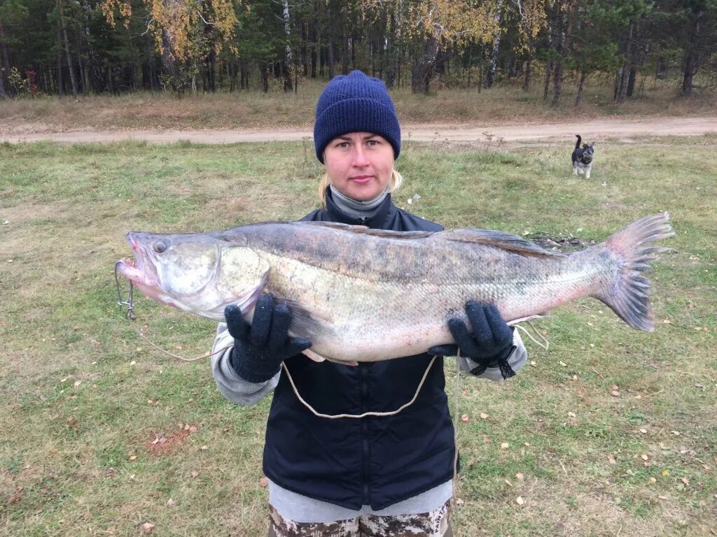 Какая рыба в обском водохранилище. Рыбалка на оби новосибирск. Рыбы в обском море. Какая рыба в обском водохранилище. Обское море рыбалка.
