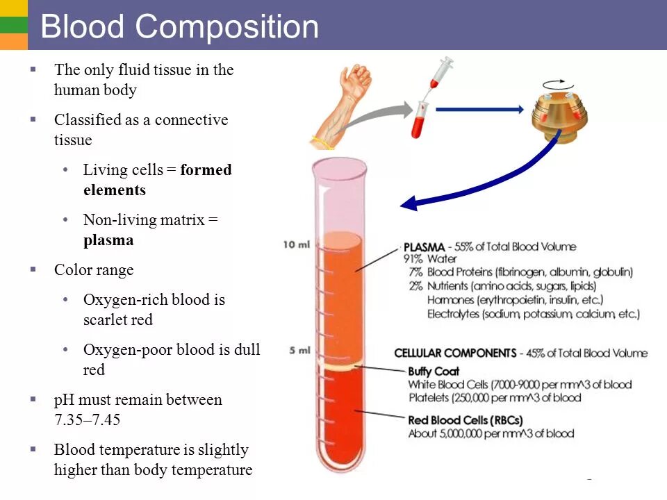 Blood Composition and function. Functions of Blood. Composition of Blood components of Blood. Blood Plasma function. Is the only method