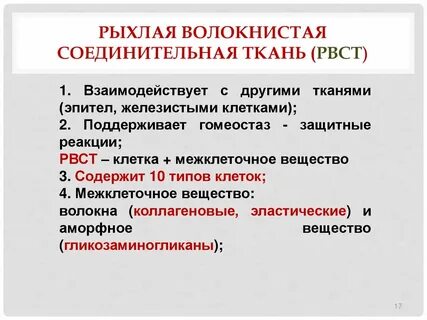 Рыхлое межклеточное вещество