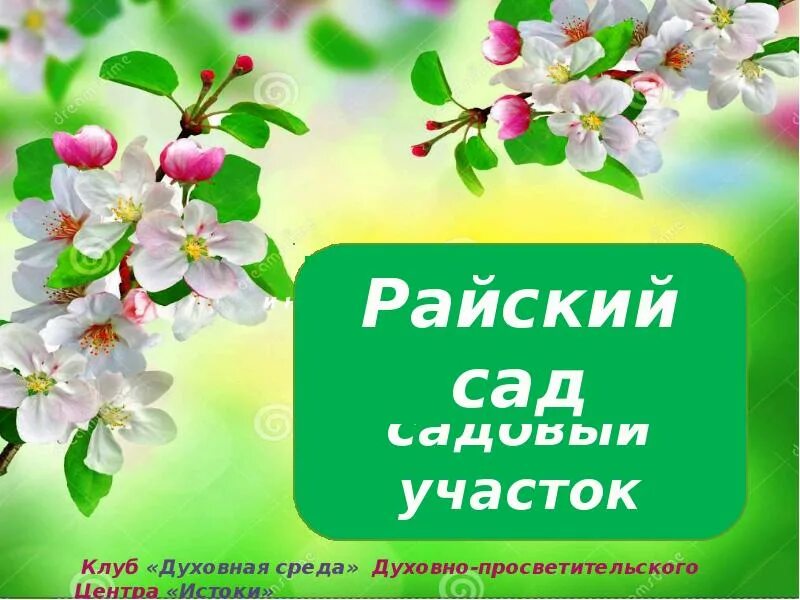 Все в сад фраза. Стихотворение про Райский сад. Райский сад Каменск-Уральский. Райский сад цитаты. Райский сад клуб.