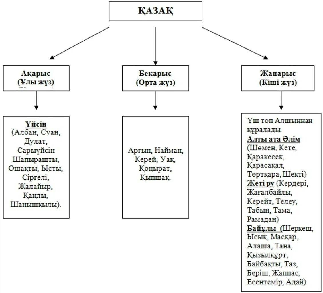 Казахский старший жуз схема. Казахский род. Казахский род Адай. Шежире схема. Кіші жүз ханы