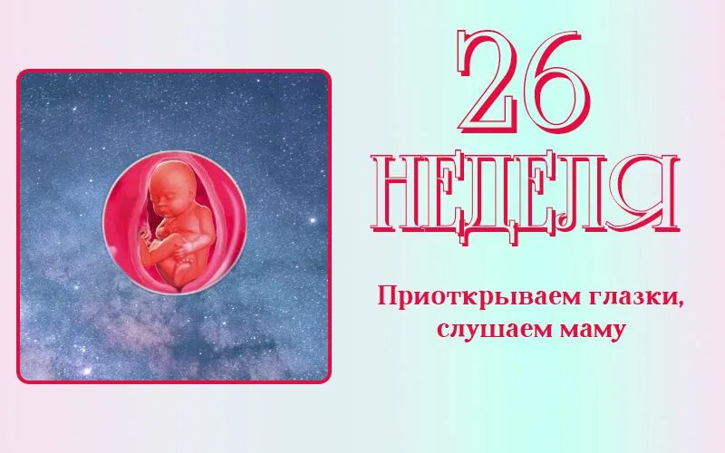 26 неделя отзывы. Эмбрион на 28 неделе беременности. Ребёнок на 28 неделе беременности.