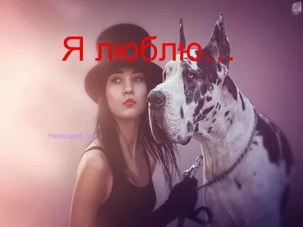 Девушка и дог