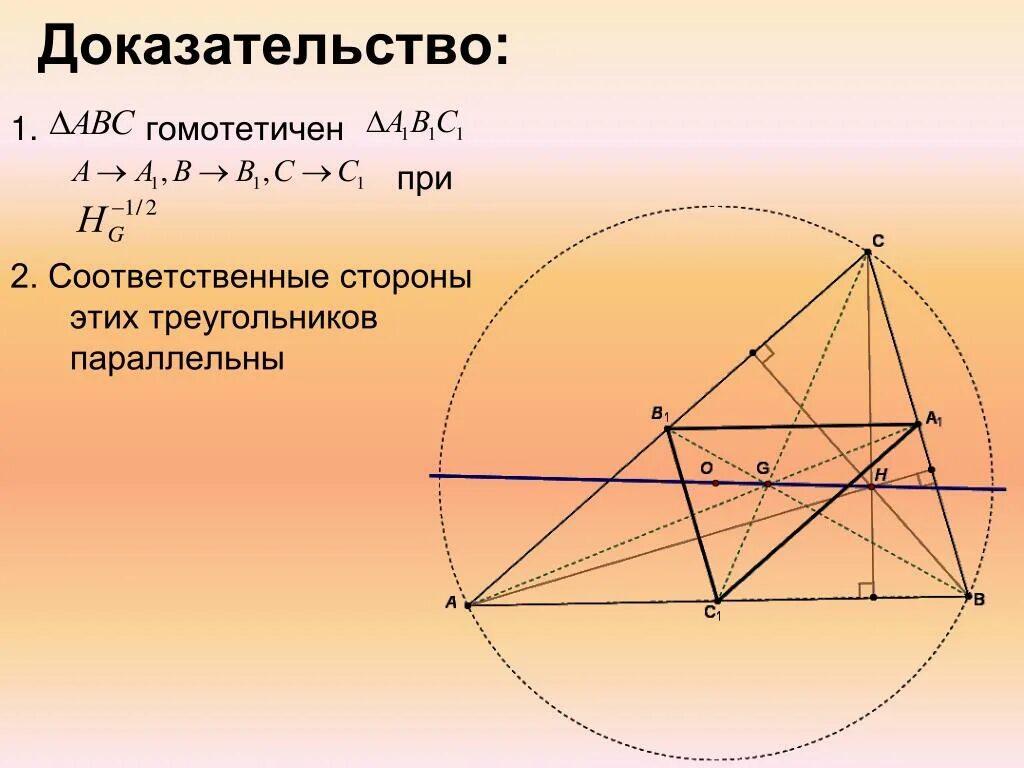 Гомотетия 3. Гомотетию треугольника к=-3. Ортоцентр и центр описанной окружности. Ортоцентр окружности. Гомотетичная фигура треугольника.