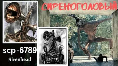 Scp сиреноголовый