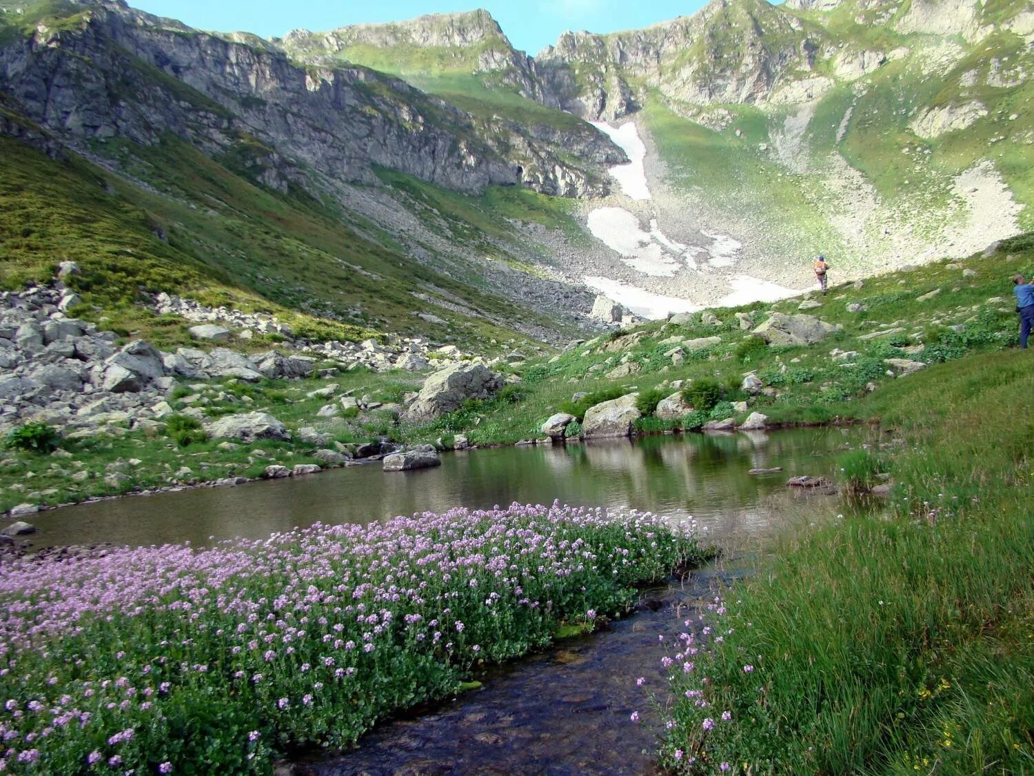 Минеральные источники Кавказа. Кавказские Минеральные воды источники Минеральные. Район Минеральных вод Северного Кавказа. Горные Родники Кавказа. Вода источники кавказа