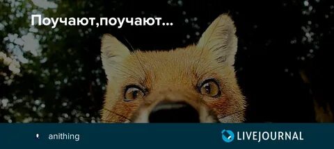 Любитель поучать 7