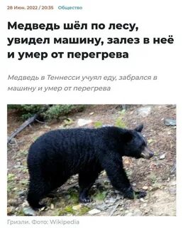 Садись сгорай