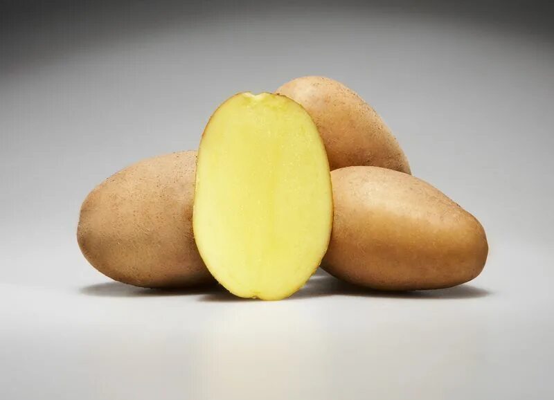 Сифра картофель характеристика. Картофель сорт Эстрелла. Сорт картошки Эстрелла. Немецкий сорт картофеля семенной.