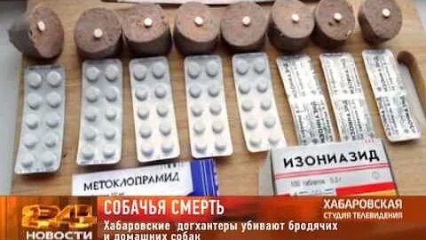 Изониазид для собак