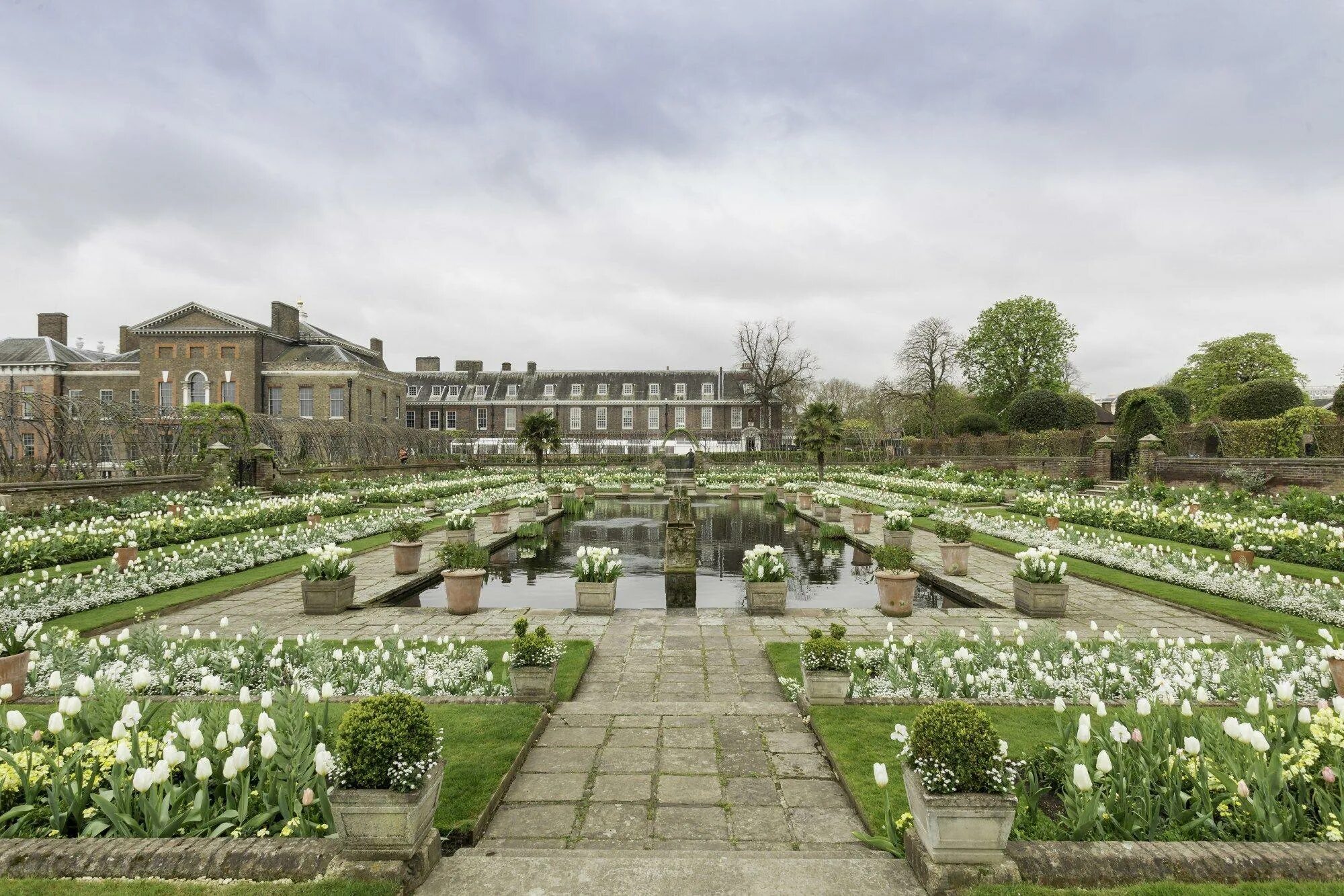 Принцесса в аду картинки. Playmobil фея с розами. Фотообои "disney princess park". Сказочный фон для принцессы. Сказки про принцесс.