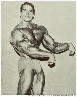 Шварценеггер австрия