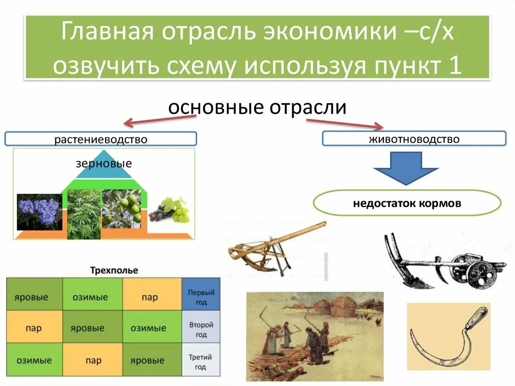 Основные отрасли общества. Отрасли экономики. Отрасли экономики 3 класс. Отрасли хозяйства схема. Отрасли растениеводства.