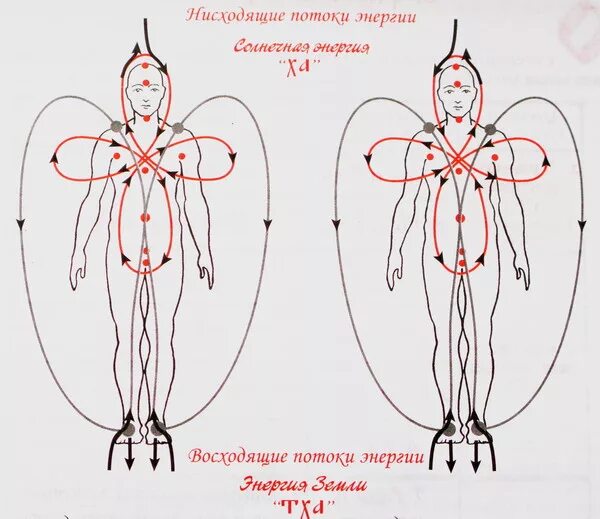 Восходящее нисходящее движение. Энергетические потоки в теле схема. Движение энергии в теле человека схема. Циркуляция энергии в теле человека. Восходящие и нисходящие энергетические потоки.