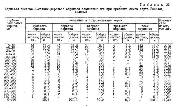 Максимальная глубина дерева. Корневая система плодовых деревьев таблица. Размер корневой системы деревьев. Глубина корневой системы деревьев. Корневая система плодовых деревьев и кустарников таблица.