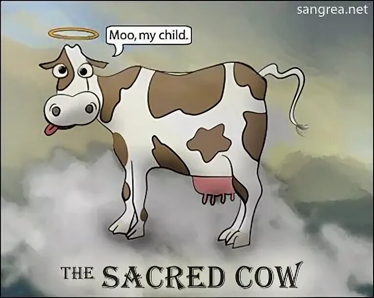 Cash cow перевод идиомы. English idioms. Holy cow идиома. Holy cow мем. Идиом дойная корова.