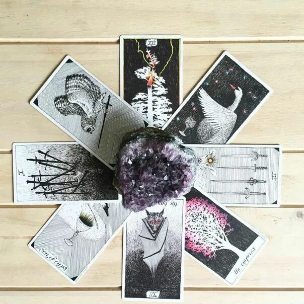 Дикое неизвестное таро. Таро Wild Unknown. The Wild Unknown Tarot. Дикое неизвестное Таро галерея. Таро неизведанного Tarot.