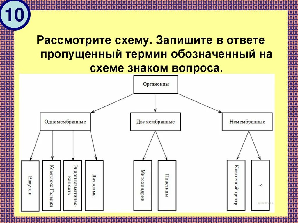 Какое понятие следует выписать. Рассмотрите схему. Рассмотри схему схема. Схема ответа на вопрос. Схемы для презентации.