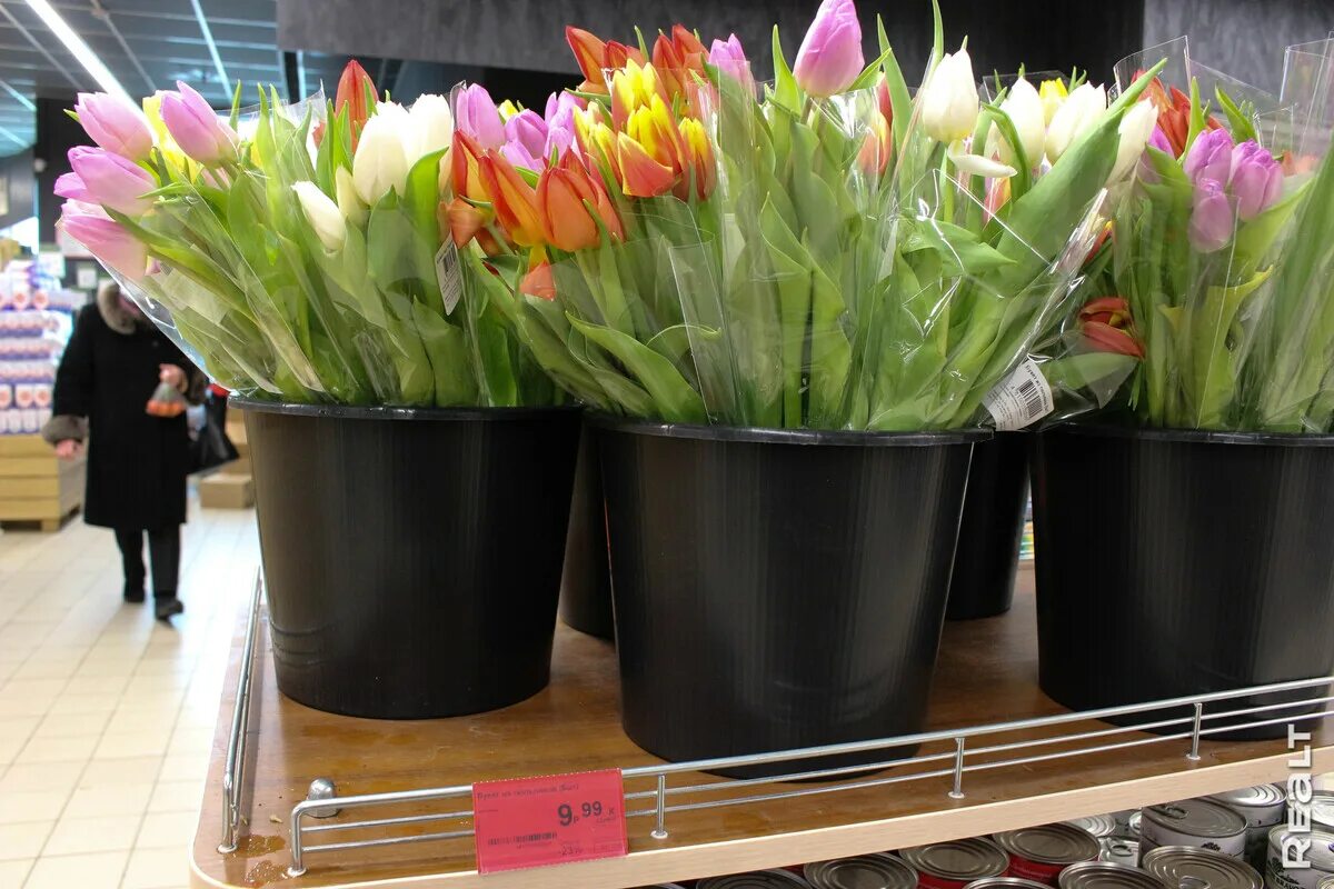Сколько будут стоить тюльпаны в 2024. Стоячие тюльпаны. Тюльпаны Беларусь. Букет тюльпанов на улице.
